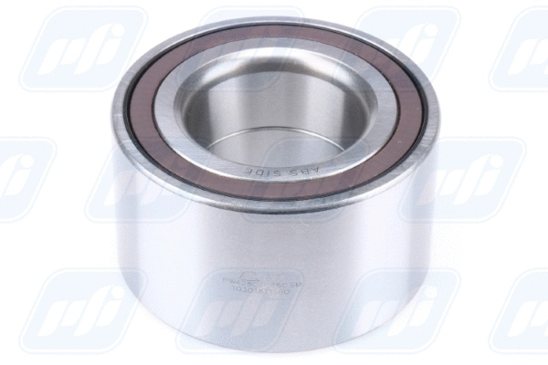 Wheel Bearing (PW42800045CSM)