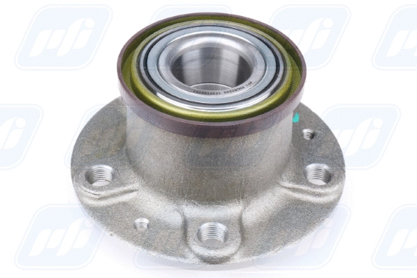 Wheel Hub (PHU60030)