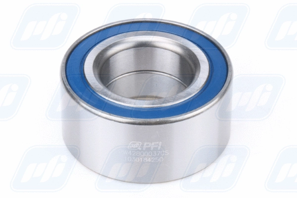 Wheel Bearing (PW42800037CS)
