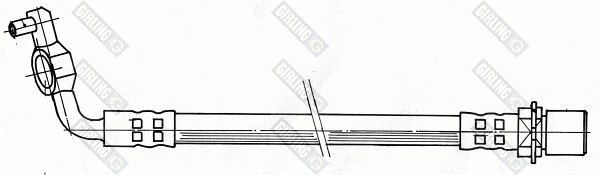 Brake Hose (9004389)