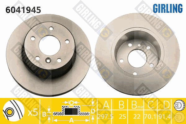 Brake Disc (6041945)