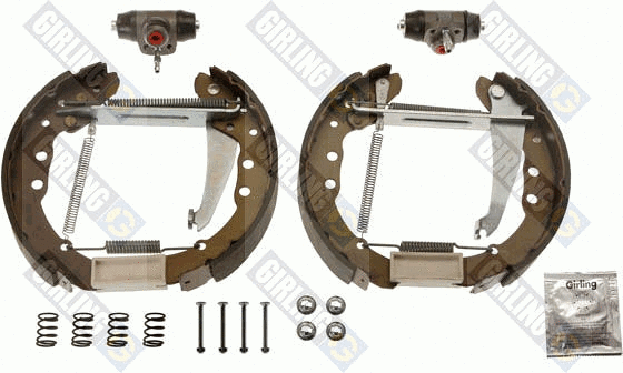 Brake Shoe Set (5315149)