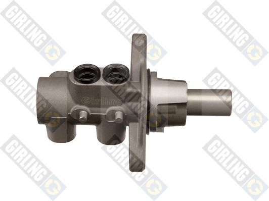 Brake Master Cylinder (40061031)