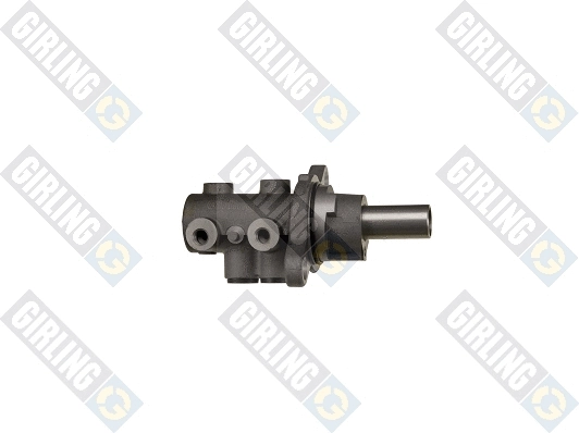 Brake Master Cylinder (40061030)