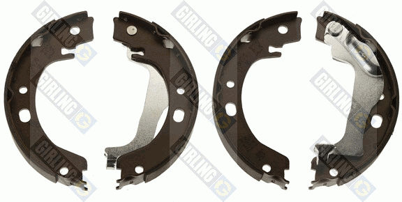 Brake Shoe Set, parking brake (5187469)