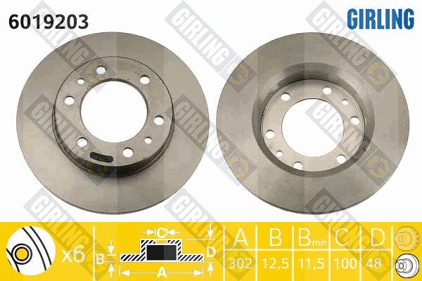 Brake Disc (6019203)
