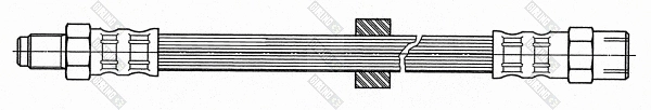 Brake Hose (9002558)