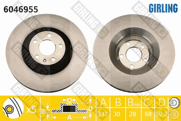 Brake Disc (6046955)