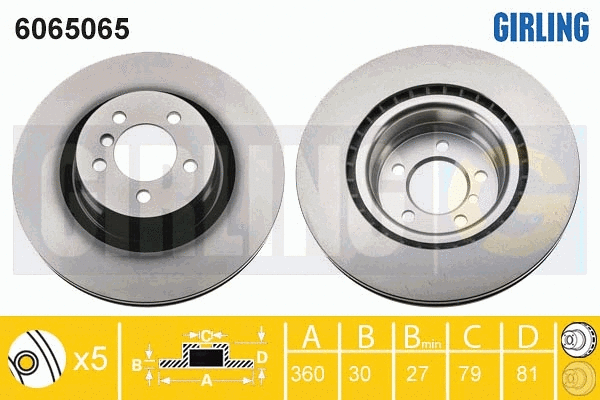Brake Disc (6065065)