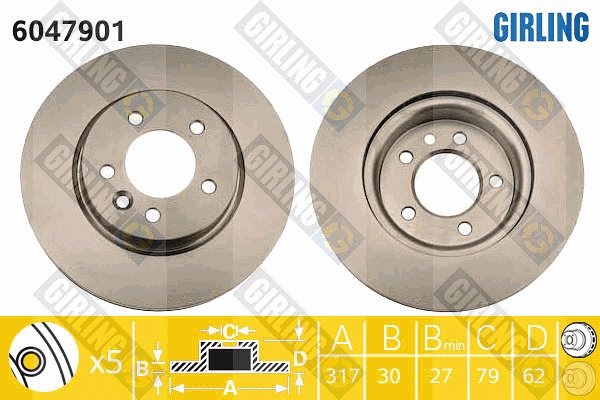 Brake Disc (6047901)