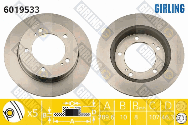 Brake Disc (6019533)