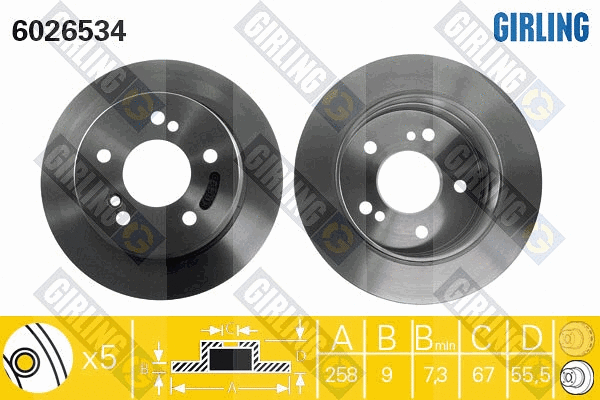 Brake Disc (6026534)