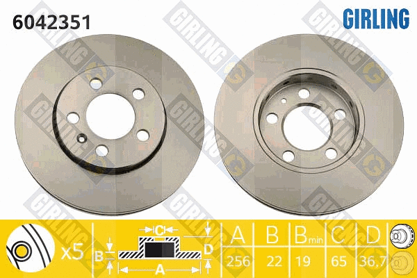 Brake Disc (6042351)