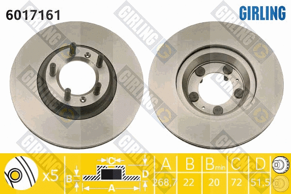 Brake Disc (6017161)