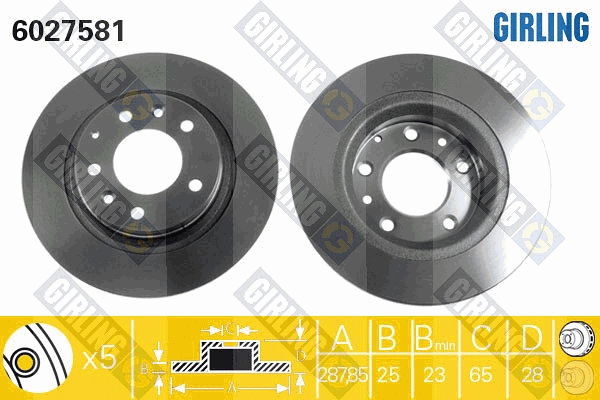 Brake Disc (6027581)