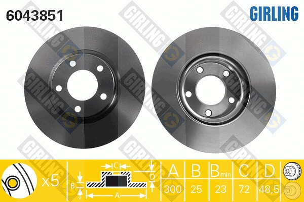 Brake Disc (6043851)