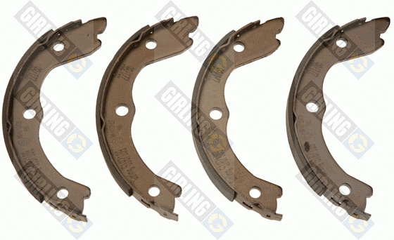 Brake Shoe Set, parking brake (5187109)