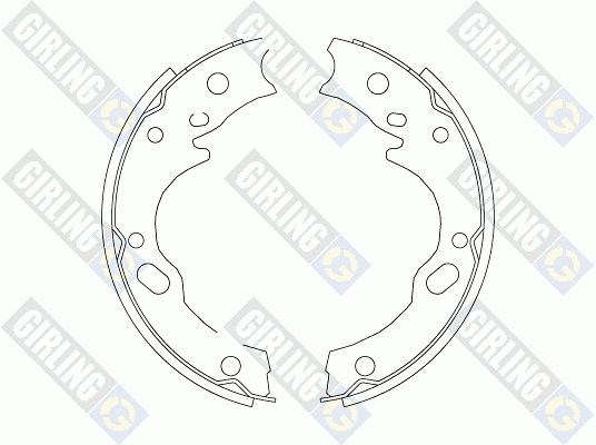 Brake Shoe Set, parking brake (5171691)