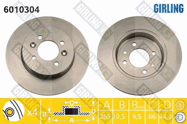 Brake Disc (6010304)
