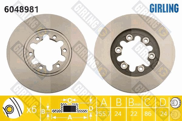 Brake Disc (6048981)