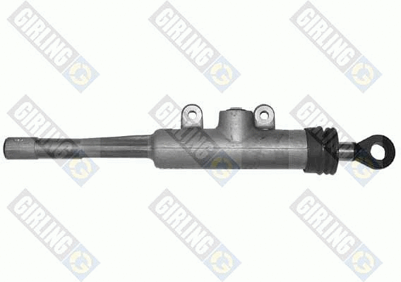 Master Cylinder, clutch (1204139)