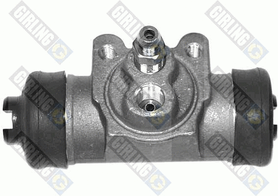 Wheel Brake Cylinder (5006291)