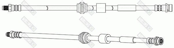 Brake Hose (9002695)