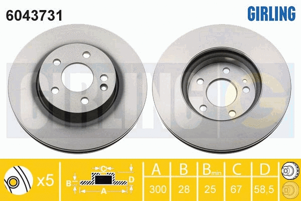 Brake Disc (6043731)