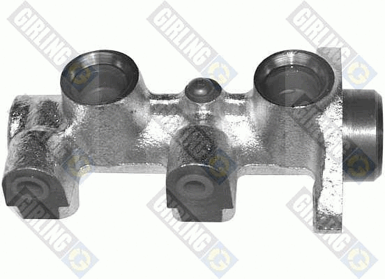 Brake Master Cylinder (4005193)
