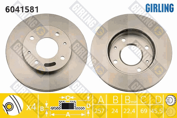 Brake Disc (6041581)