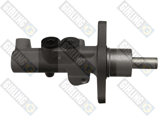 Brake Master Cylinder (40061000)