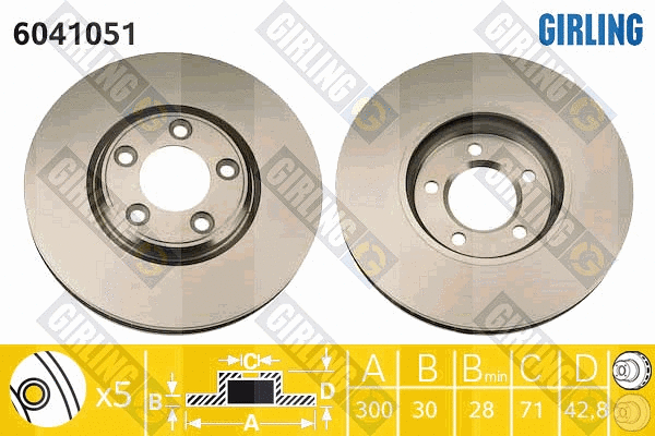 Brake Disc (6041051)