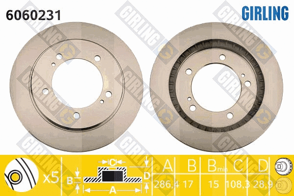 Brake Disc (6060231)