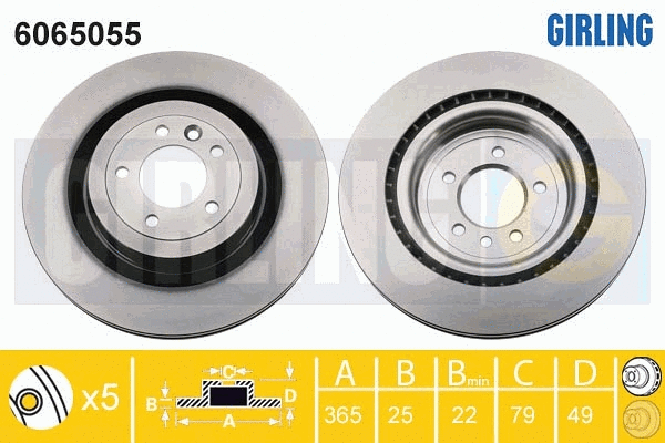 Brake Disc (6065055)