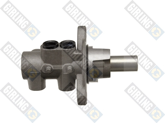 Brake Master Cylinder (40061028)