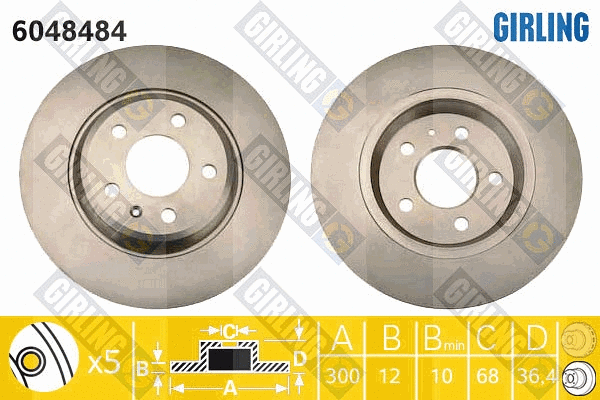 Brake Disc (6048484)