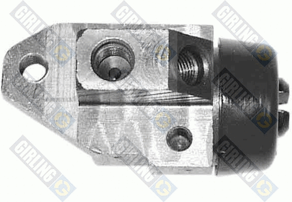 Wheel Brake Cylinder (5007129)