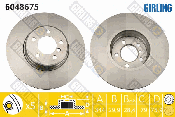 Brake Disc (6048675)