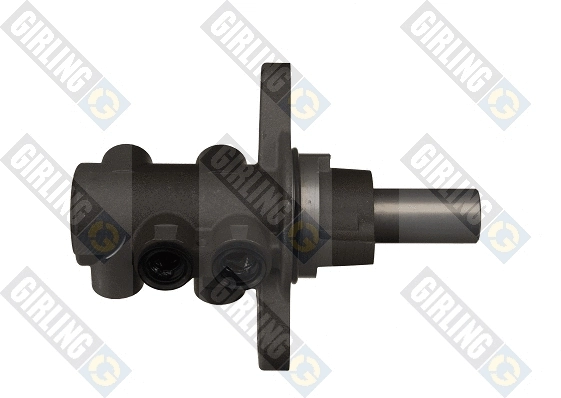 Brake Master Cylinder (40061025)