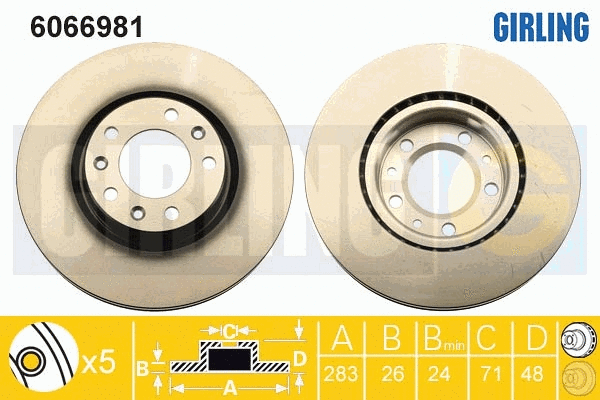 Brake Disc (6066981)