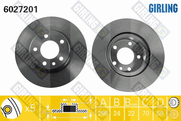 Brake Disc (6027201)