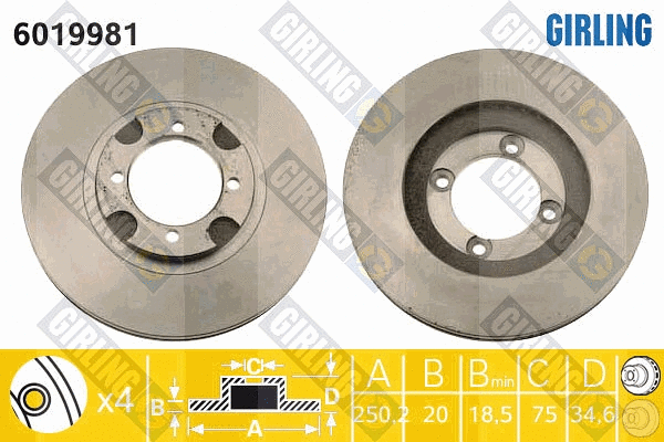 Brake Disc (6019981)