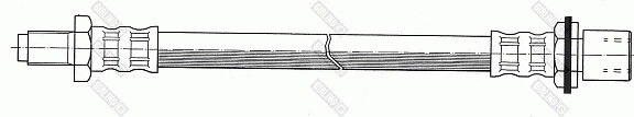 Brake Hose (9002200)