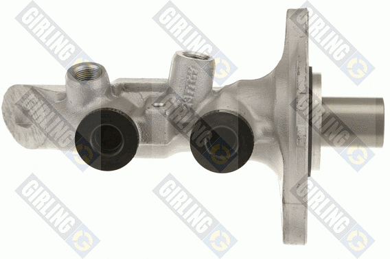 Brake Master Cylinder (4007272)