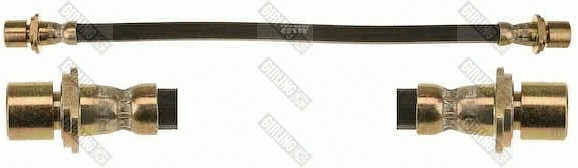 Brake Hose (9001528)
