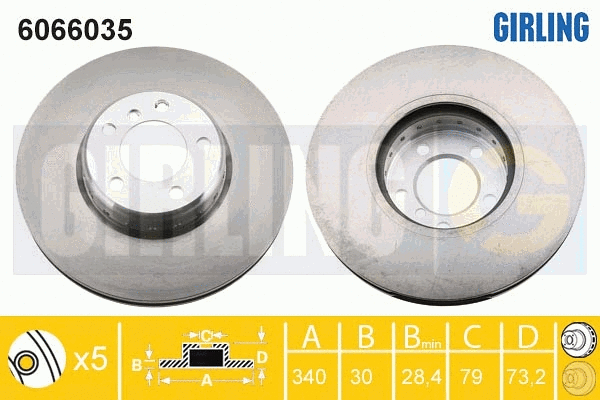 Brake Disc (6066035)