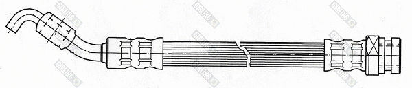 Brake Hose (9004399)