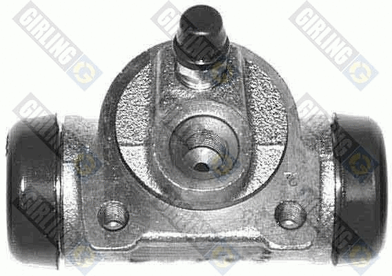 Wheel Brake Cylinder (5006168)