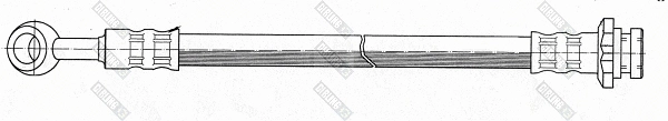 Brake Hose (9004200)