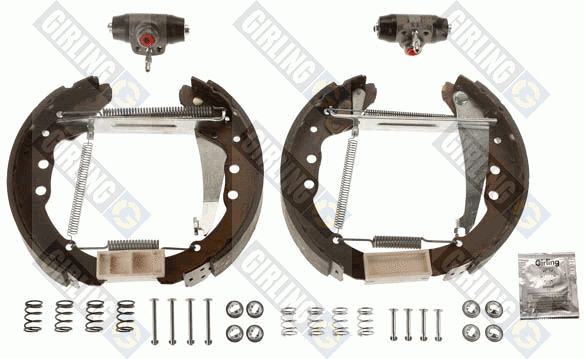 Brake Shoe Set (5315169)